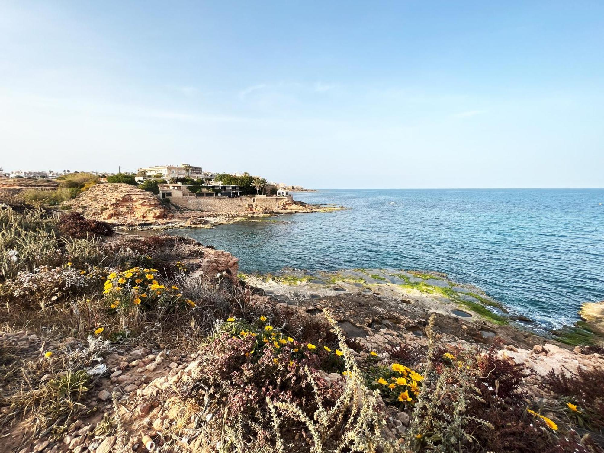 Salty Apartment Torrevieja Bagian luar foto